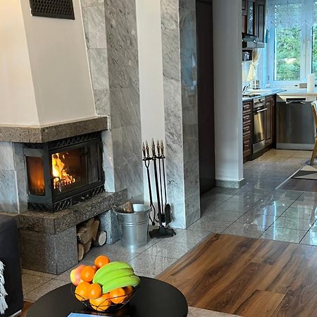 Sweet Home Cieplice Mountain View Apartament By The Main Park And Thermal Pools Еленя-Гура Экстерьер фото